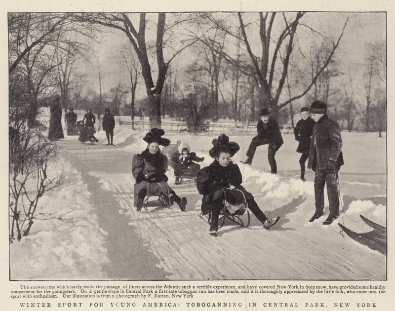 Téli sport a fiatal Amerikának, szánkózás a New York-i Central Parkban alkotó: English Photographer