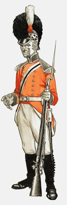 92. Hon. Tüzérségi Rt. gyalogsági oszt. Privát 1803 alkotó: English School