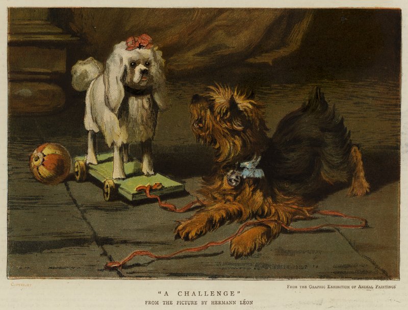 Kihívás (chromolitho) alkotó: English School