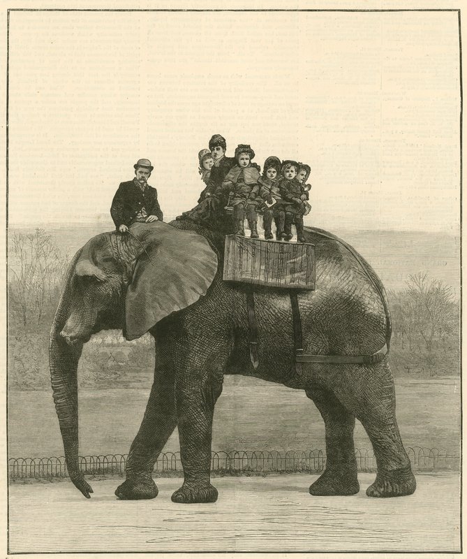 Búcsúzás a Jumbo-n alkotó: English School