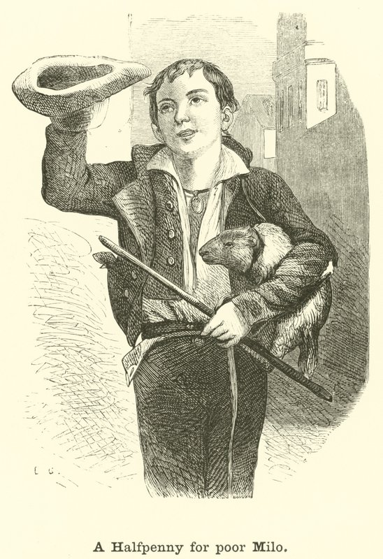 Fél penny szegény Milónak alkotó: English School