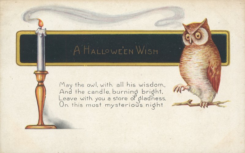 Halloweeni kívánság alkotó: English School