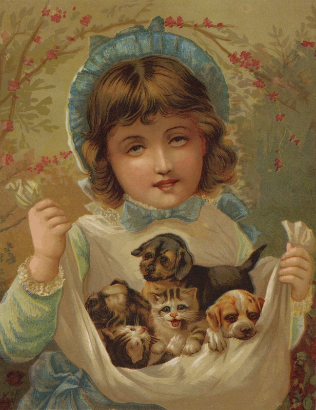 A Lapful of Mischief (chromolitho) alkotó: English School