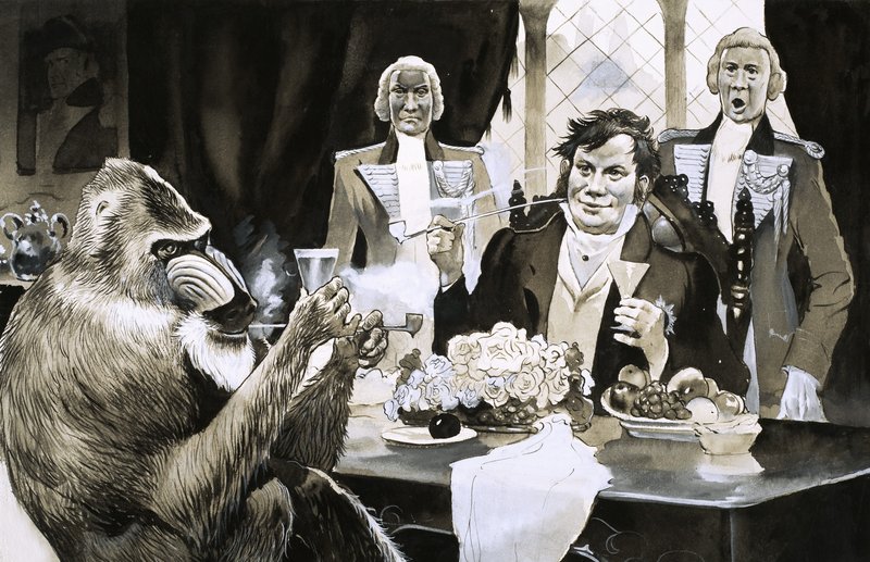 Egy mandrill pávián egykor IV. György királyi vendége volt alkotó: English School
