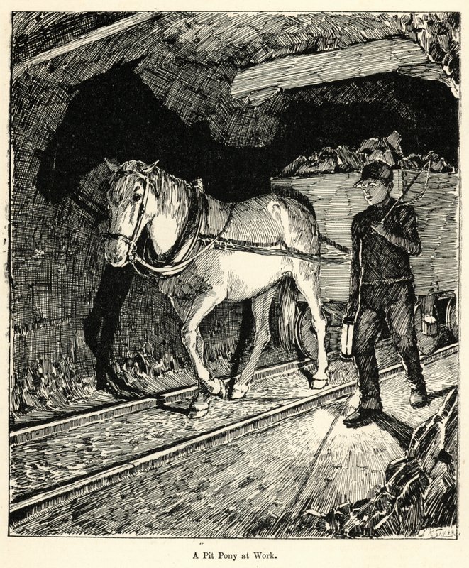 Gödör póni munka közben (metszet) alkotó: English School