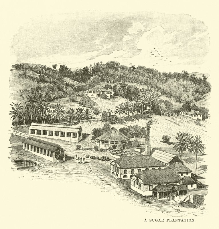 Cukorültetvény alkotó: English School