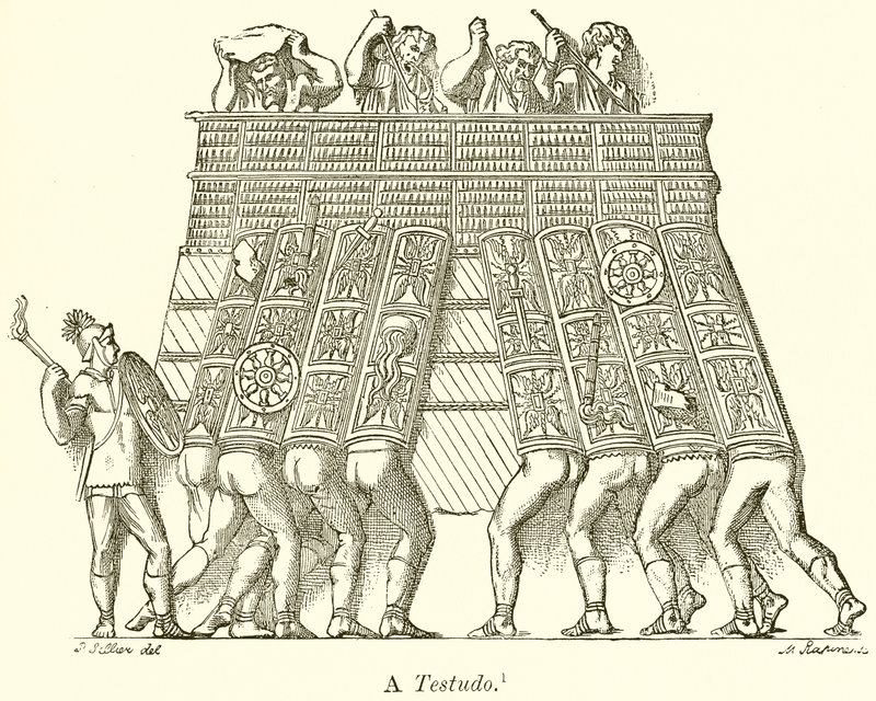Testudónak alkotó: English School