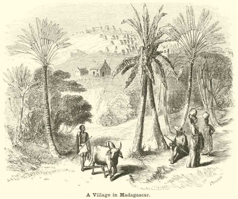 Egy falu Madagaszkáron alkotó: English School
