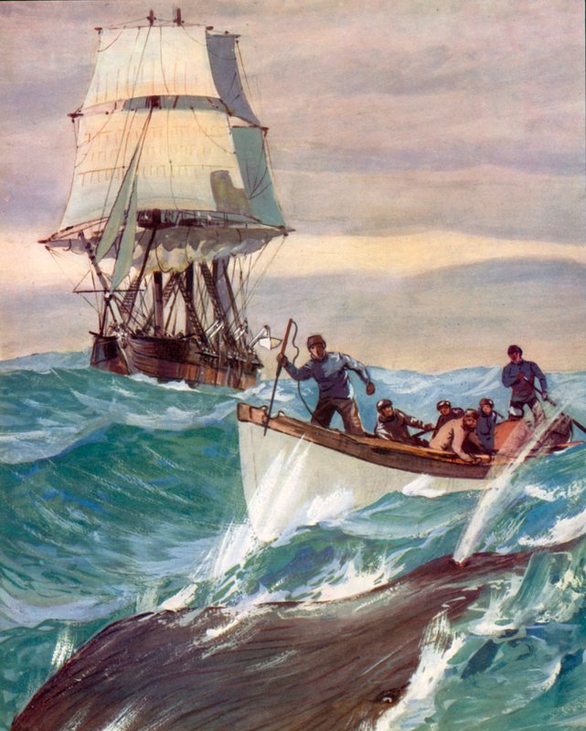 A Whaler (színes litográfia) alkotó: English School