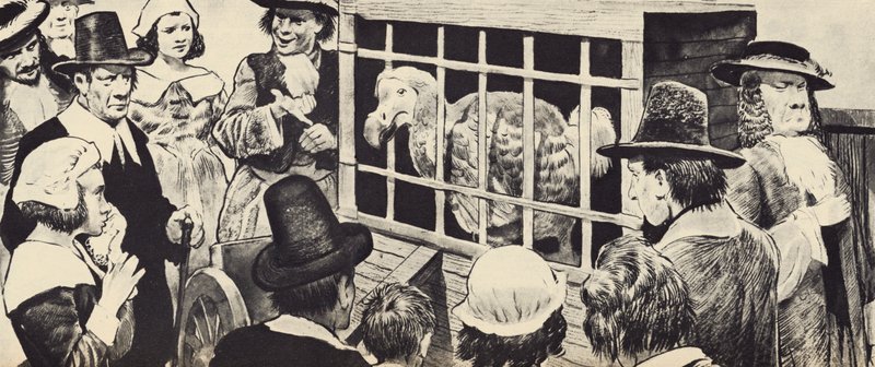 Egy dodót állítanak ki a tizenhetedik századi Angliában (litho) alkotó: English School