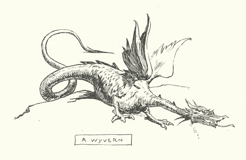 Egy wyvern (metszet) alkotó: English School
