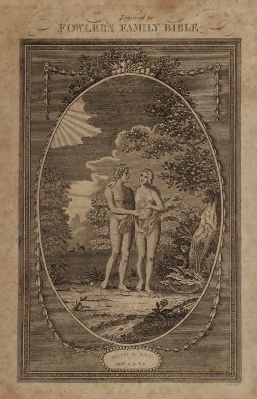 Ádám és Éva, Genezis, 3. fejezet, 6. vers (metszet) alkotó: English School