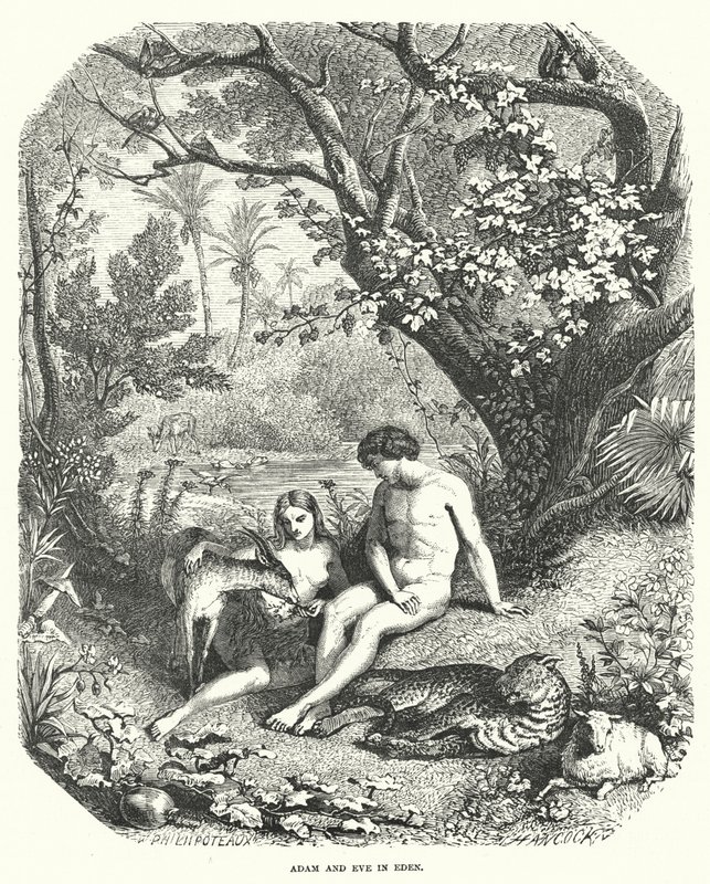 Ádám és Éva az Édenben alkotó: English School