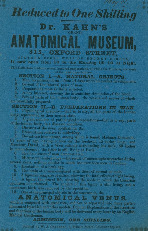 A Dr Khans Grant Anatómiai Múzeum hirdetése alkotó: English School