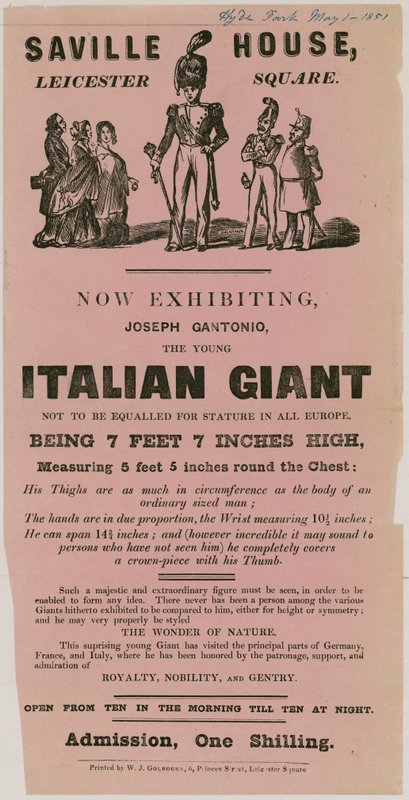 Joseph Gantonio, a fiatal olasz óriás megjelenésének hirdetése alkotó: English School