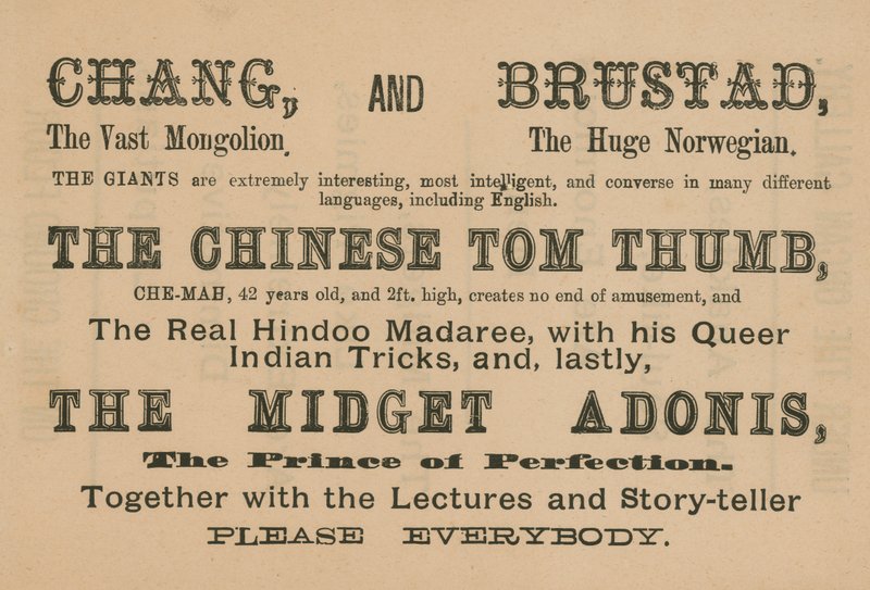 Chang, Brustad, The Chinese Tom Thumb és The Midget Adonis megjelenésének hirdetése alkotó: English School