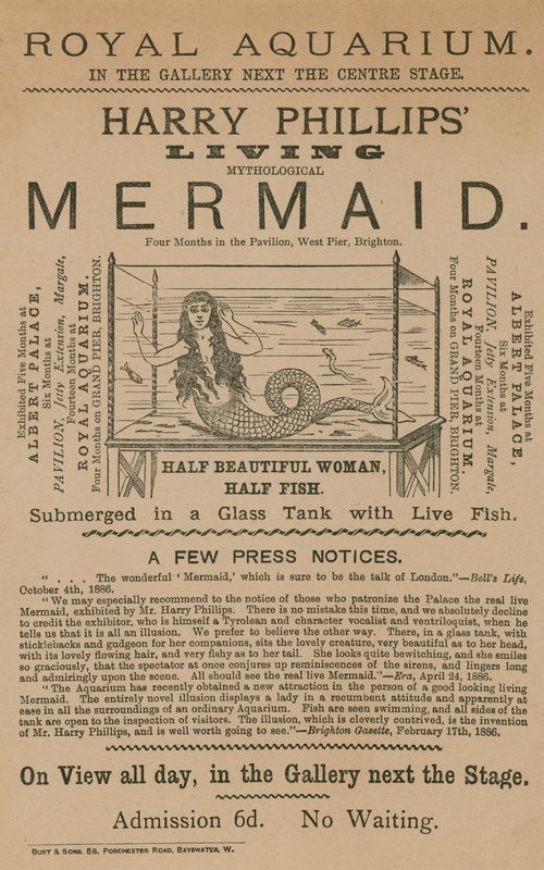 Harry Phillips Living Mythological Mermaid reklámja alkotó: English School
