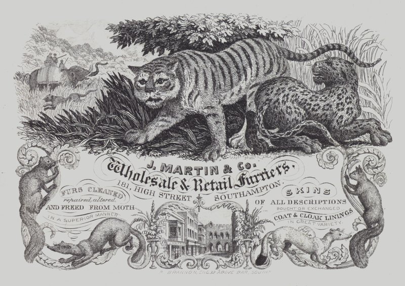 A J Martin & Co hirdetése, nagy- és kiskereskedelmi szűcsök, Southampton, Hampshire (litho) alkotó: English School