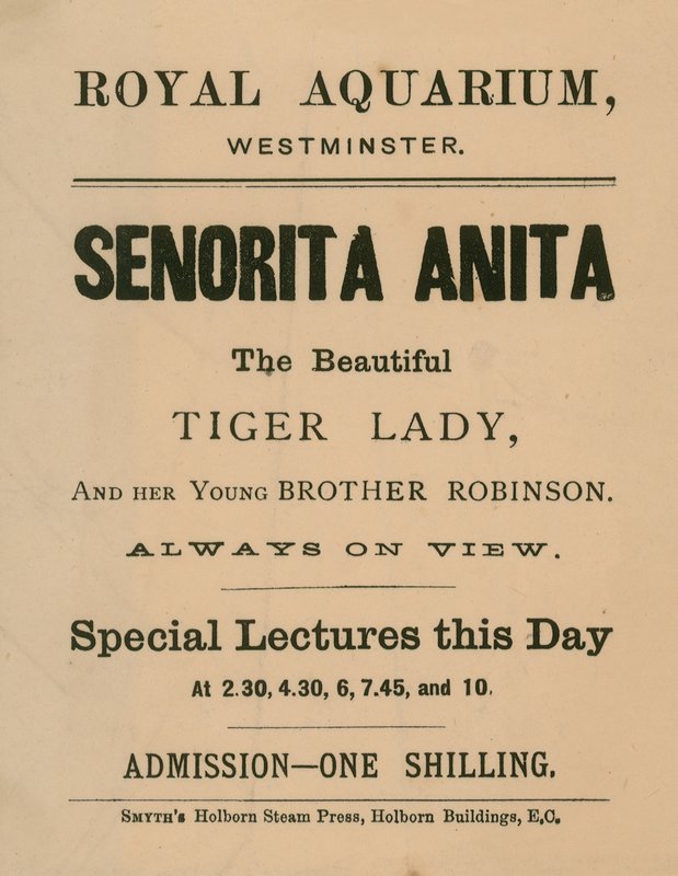 Senorita Anita reklámja alkotó: English School