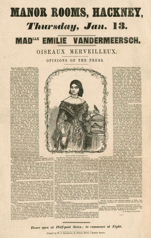 Reklám Mademoiselle Emile Vandermeersch (Oiseaux Merveilleux) megjelenéséhez a Manor Rooms-ban, Hackney, London alkotó: English School