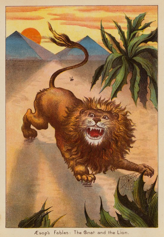 Aesopus meséi, A szúnyog és az oroszlán (színes litográfia) alkotó: English School