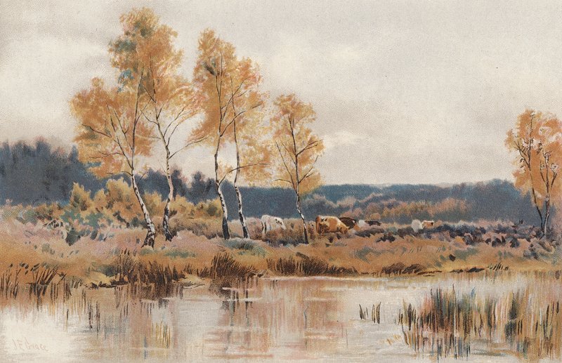 Októberi harapós fagyok után (chromolitho) alkotó: English School
