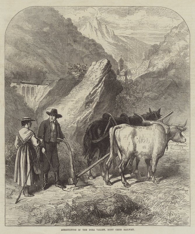 Mezőgazdaság a Dora-völgyben, Mont Cenis vasút (metszet) alkotó: English School