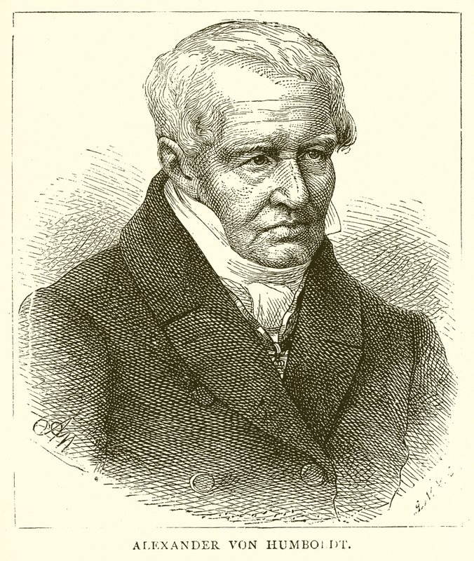 Alexander von Humboldt alkotó: English School