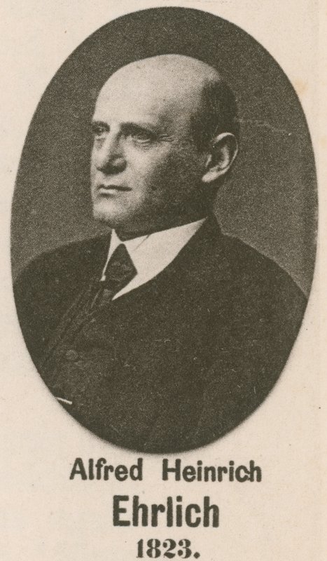 Alfred Heinrich Ehrlich (metszet) alkotó: English School