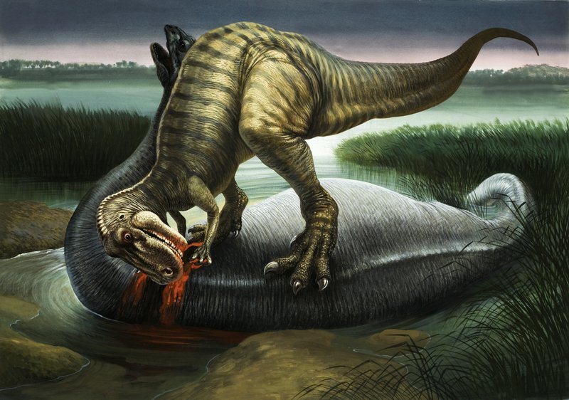 Az Allosaurus egy Apatosaurust eszik alkotó: English School