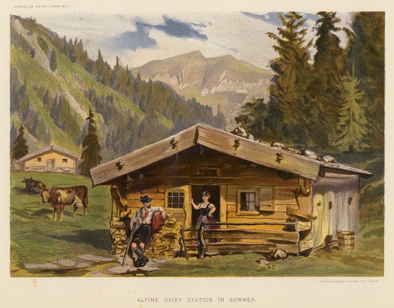 Alpesi tejfeldolgozó állomás nyáron (színes litográfia) alkotó: English School