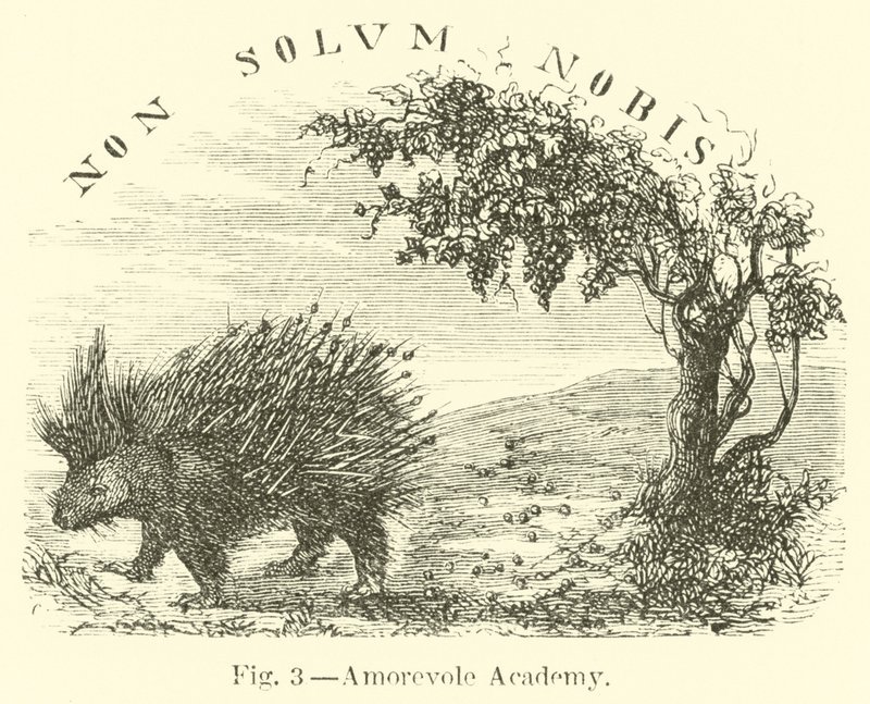 Szerető Akadémia alkotó: English School