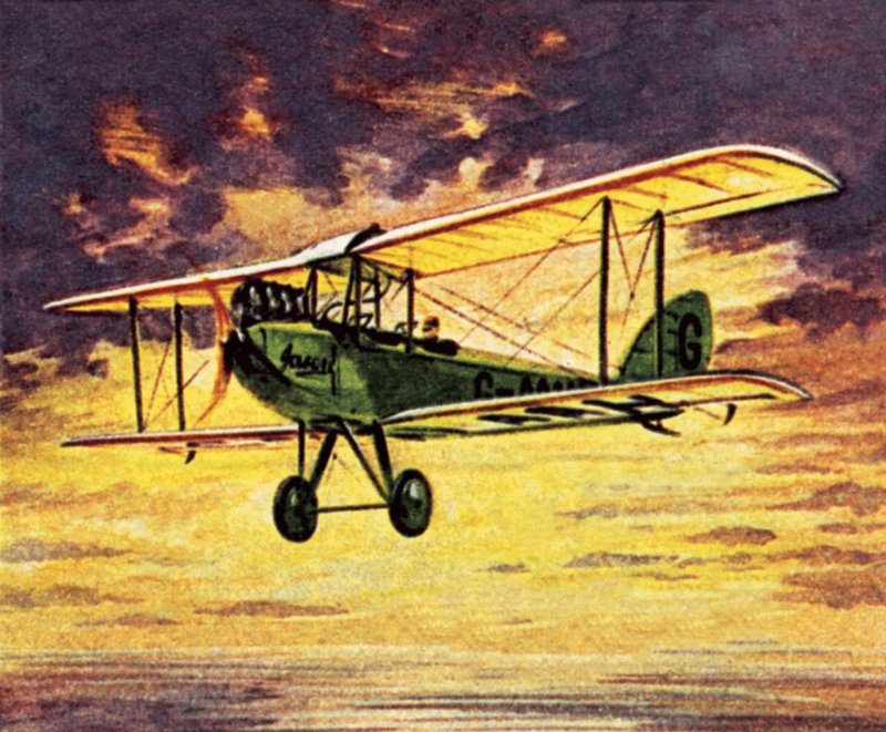 Amy Johnson a Jason nevű cigánymolyban alkotó: English School