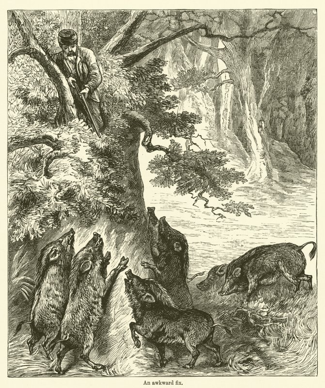 Kínos javítás (gravírozás) alkotó: English School