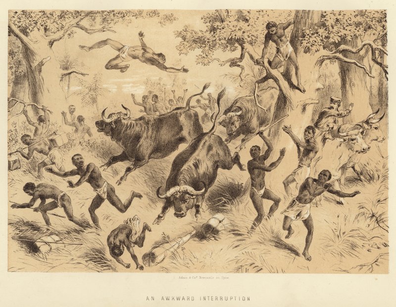 Kínos megszakítás alkotó: English School