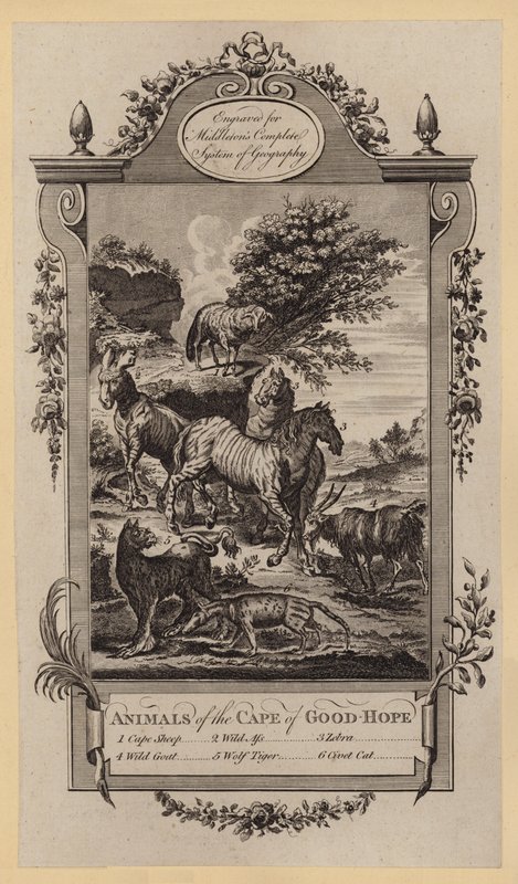 A Jóreménység fokának állatai (metszet) alkotó: English School