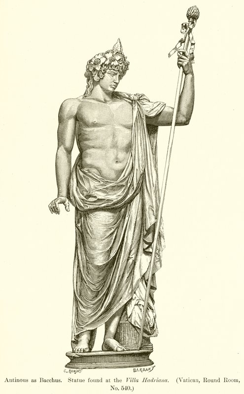 Antinous, mint Bacchus. A szobor a Villa Hadrianában található. (Vatikán, kerek szoba, 540. sz.) alkotó: English School