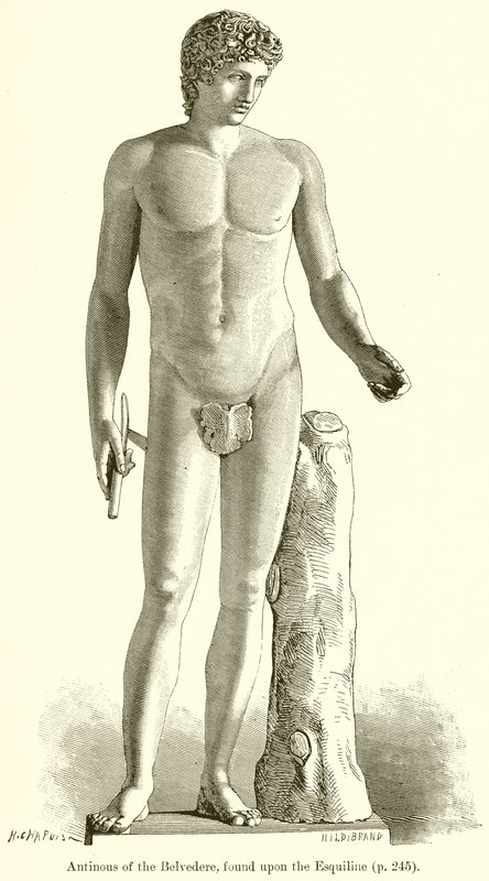 Antinous a Belvedere-ből, az Esquilinen találták alkotó: English School