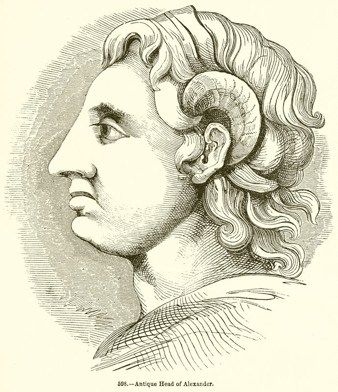 Sándor antik feje alkotó: English School