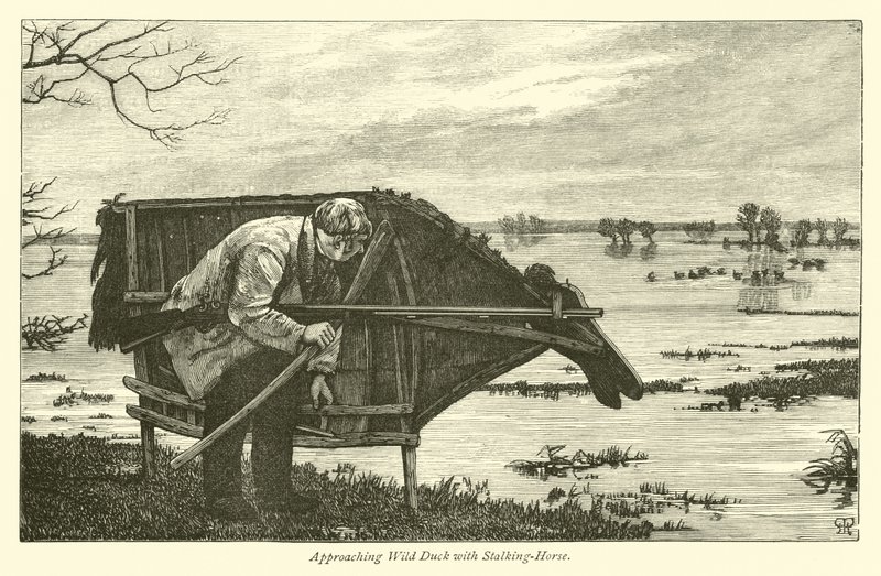 Vadkacsa közeledve Stalking-Horse-val alkotó: English School