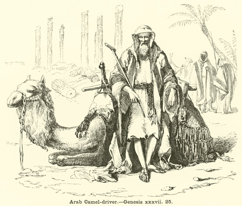 Arab Camel-sofőr, Genesis, xxxvii, 25 alkotó: English School