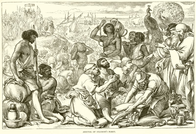 A Salamon-flotta érkezése alkotó: English School