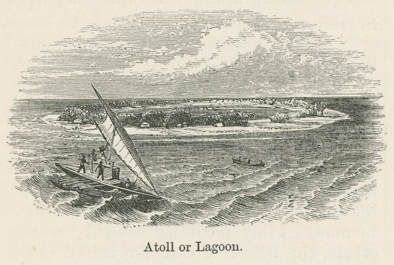 Atoll vagy lagúna (metszet) alkotó: English School
