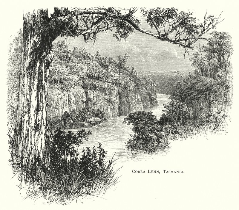 Ausztrália: Corra Lynn, Tasmania (metszet) alkotó: English School