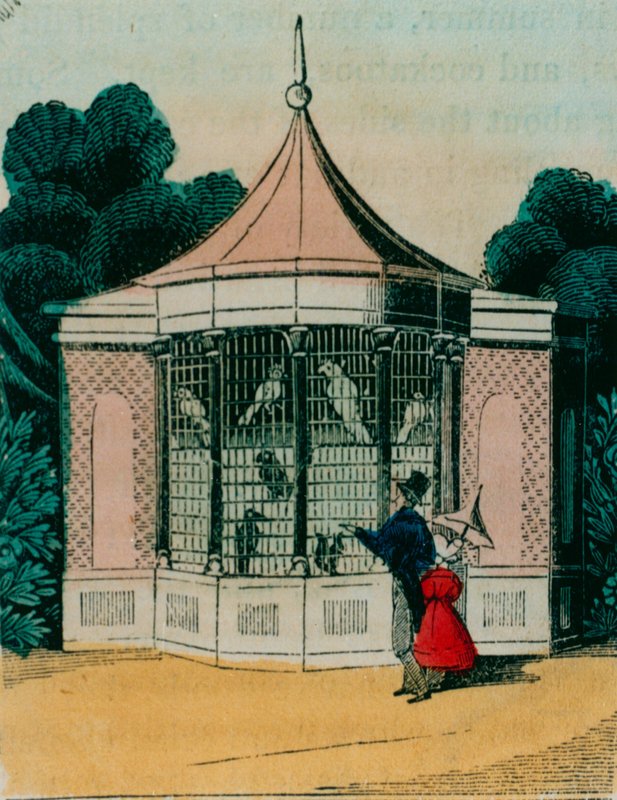 Madárház papagájok és kakadu számára a londoni állatkertben. 1840-es évek alkotó: English School