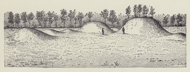 Avondale Mounds, Washington megye, Mississippi (litho) alkotó: English School