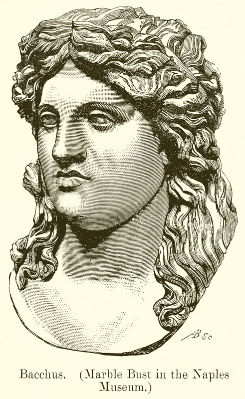 Bacchus. (Márvány mellszobor a nápolyi múzeumban) (metszet) alkotó: English School