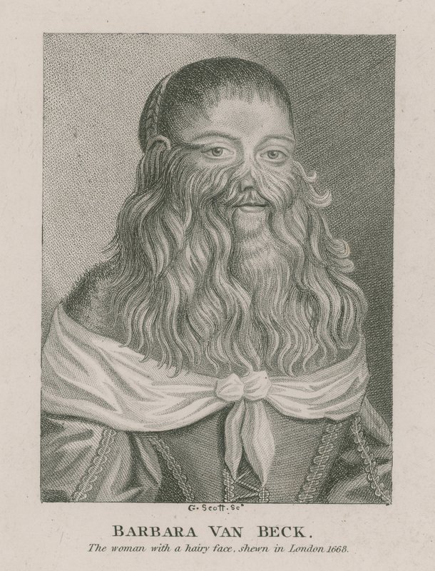 Barbara Van Beck, a szőrös arcú nő, Londonban, 1668-ban alkotó: English School