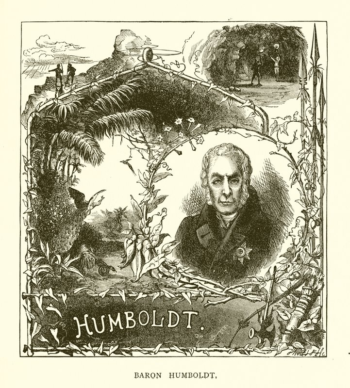 Humboldt báró alkotó: English School