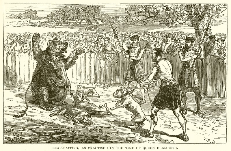 Medvecsali, ahogy Erzsébet királynő idejében gyakorolták alkotó: English School
